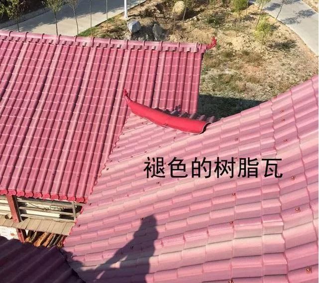 褪色的樹脂瓦.jpg